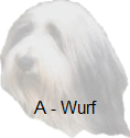 A - Wurf