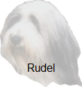 Rudel