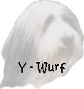 Y - Wurf